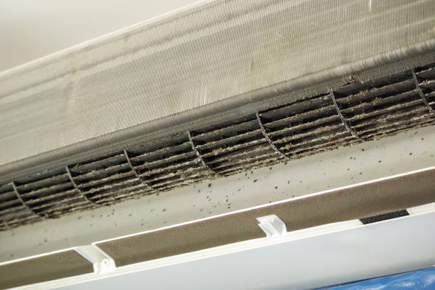 Best Air Duct Cleaning Cost  in Palermo, NJ