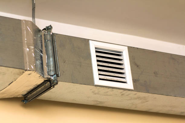 Best Air Duct Mold Removal  in Palermo, NJ